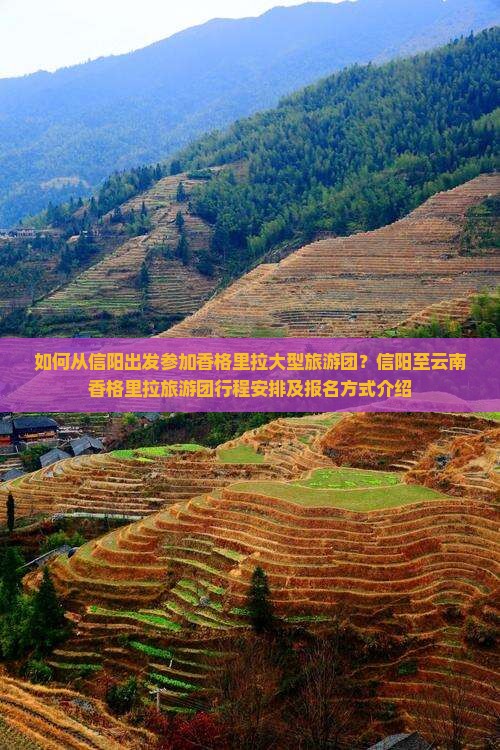 如何从信阳出发参加香格里拉大型旅游团？信阳至云南香格里拉旅游团行程安排及报名方式介绍
