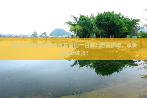 如何实现阿坝至云南玉龙雪山一日游？避开拥堵，享受美景新体验！