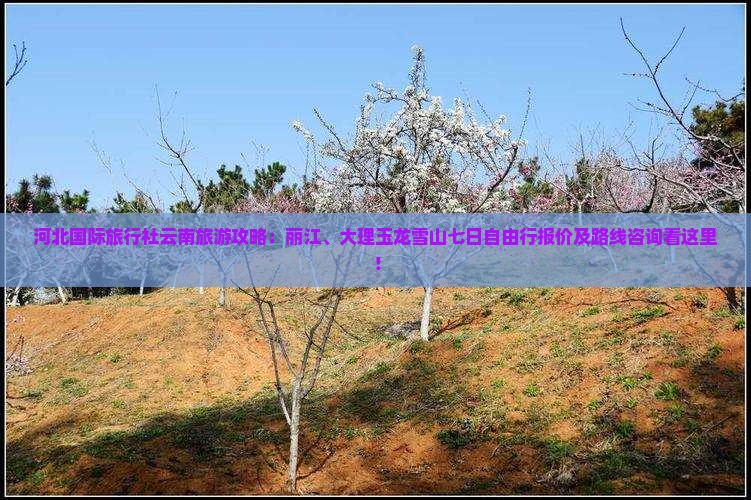 河北国际旅行社云南旅游攻略：丽江、大理玉龙雪山七日自由行报价及路线咨询看这里！