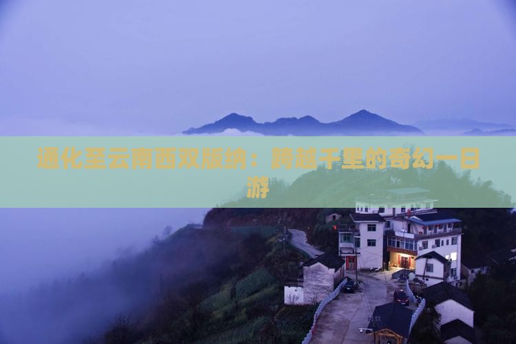 通化至云南西双版纳：跨越千里的奇幻一日游