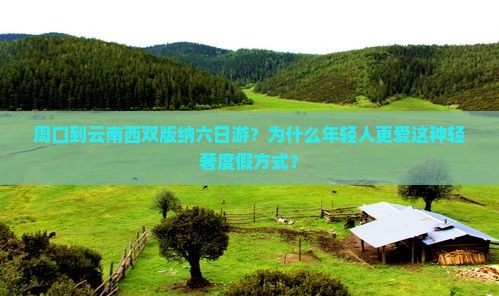 周口到云南西双版纳六日游？为什么年轻人更爱这种轻奢度假方式？