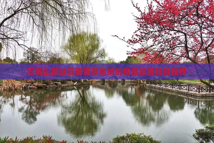 石嘴山前往云南西双版纳的精品旅游线路推荐