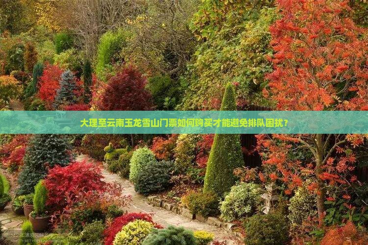大理至云南玉龙雪山门票如何购买才能避免排队困扰？