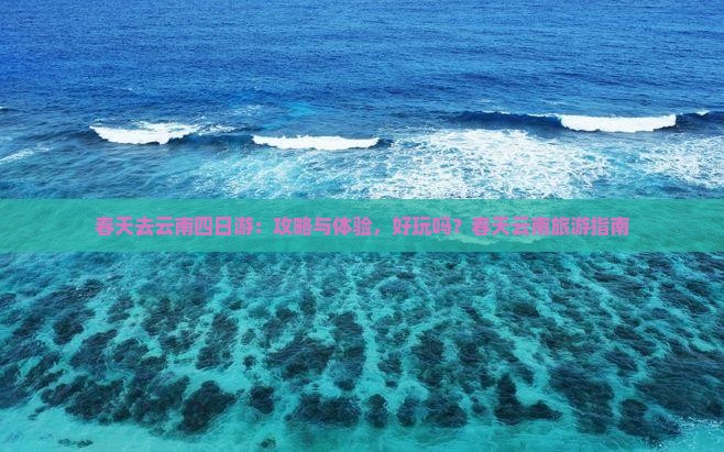 春天去云南四日游：攻略与体验，好玩吗？春天云南旅游指南