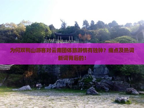 为何双鸭山游客对云南团体旅游情有独钟？痛点及热词新词背后的！