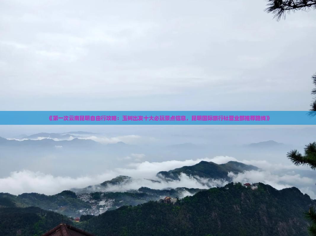 《第一次云南昆明自由行攻略：玉树出发十大必玩景点信息，昆明国际旅行社营业部推荐路线》