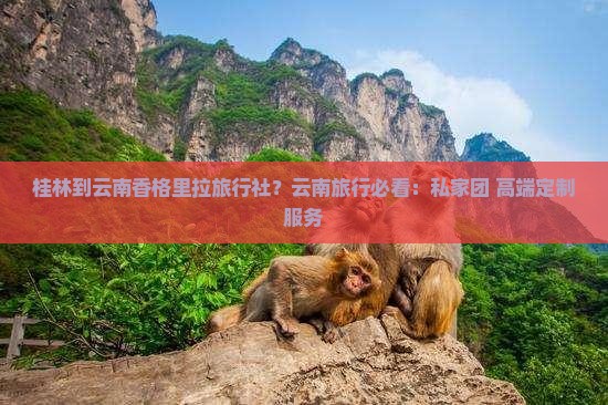 桂林到云南香格里拉旅行社？云南旅行必看：私家团+高端定制服务