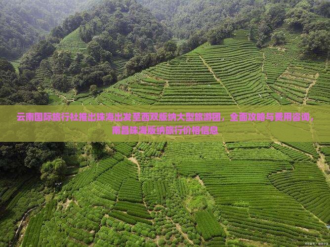 云南国际旅行社推出珠海出发至西双版纳大型旅游团，全面攻略与费用咨询，南昌珠海版纳旅行价格信息