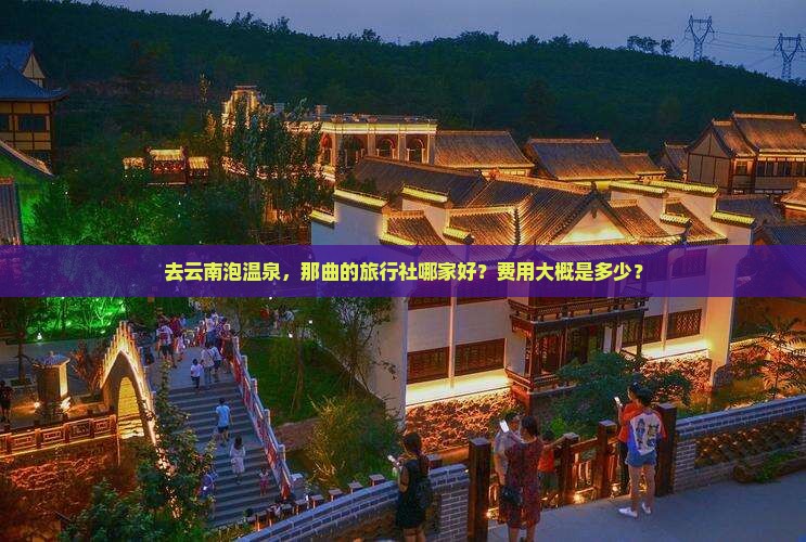 去云南泡温泉，那曲的旅行社哪家好？费用大概是多少？
