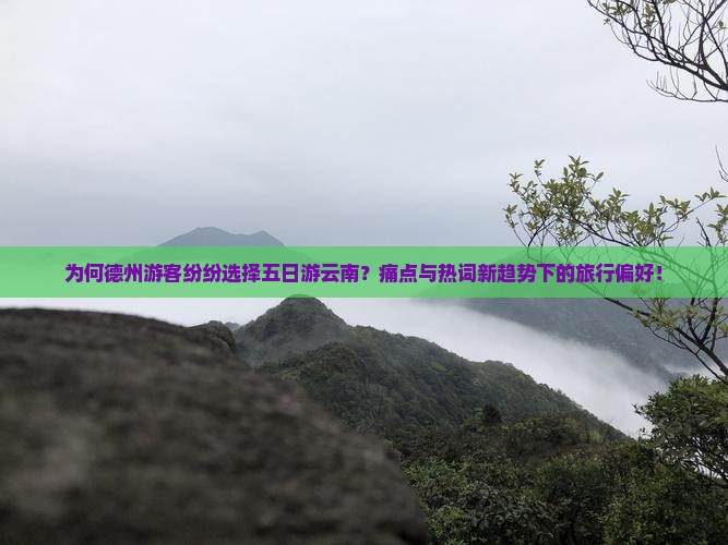 为何德州游客纷纷选择五日游云南？痛点与热词新趋势下的旅行偏好！
