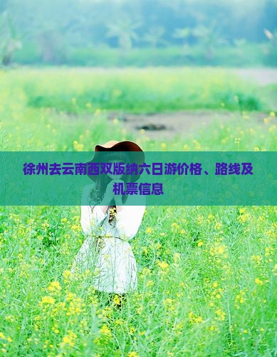 徐州去云南西双版纳六日游价格、路线及机票信息
