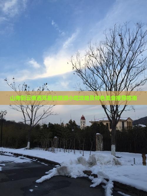 山南到云南西双版纳旅游小吃攻略及特色美食推荐指南