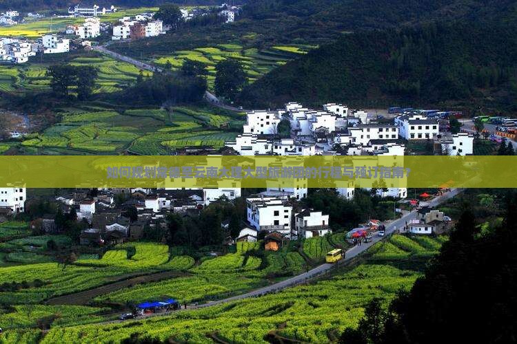 如何规划常德至云南大理大型旅游团的行程与预订指南？