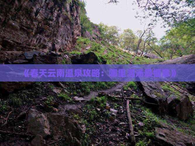 《春天云南温泉攻略：哪里泡汤最惬意》