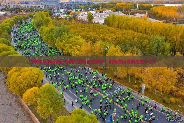 巴彦淖尔到云南洱海的门票价格是多少？洱海游玩需要注意什么？