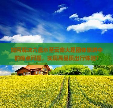 如何解决六盘水至云南大理团体旅游中的痛点问题，实现高品质出行体验？
