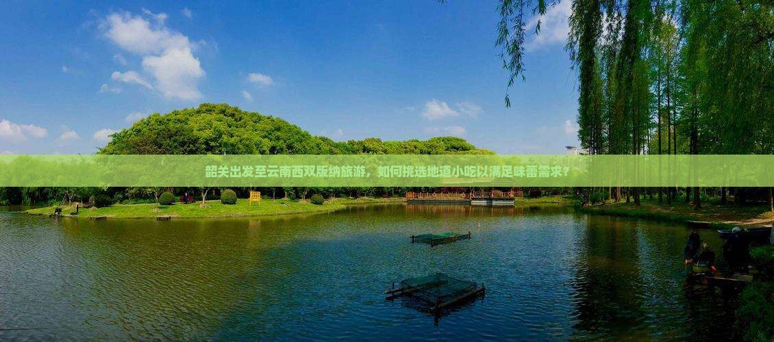 韶关出发至云南西双版纳旅游，如何挑选地道小吃以满足味蕾需求？