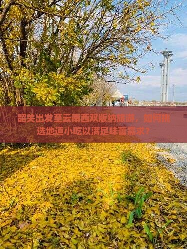 韶关出发至云南西双版纳旅游，如何挑选地道小吃以满足味蕾需求？