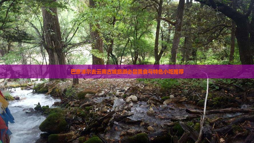 巴彦淖尔去云南古城旅游必尝美食与特色小吃推荐