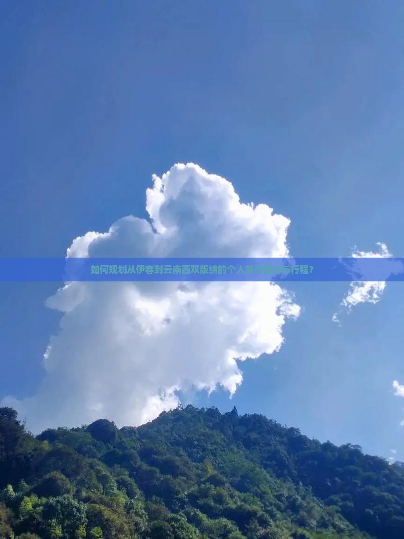 如何规划从伊春到云南西双版纳的个人旅行路线与行程？