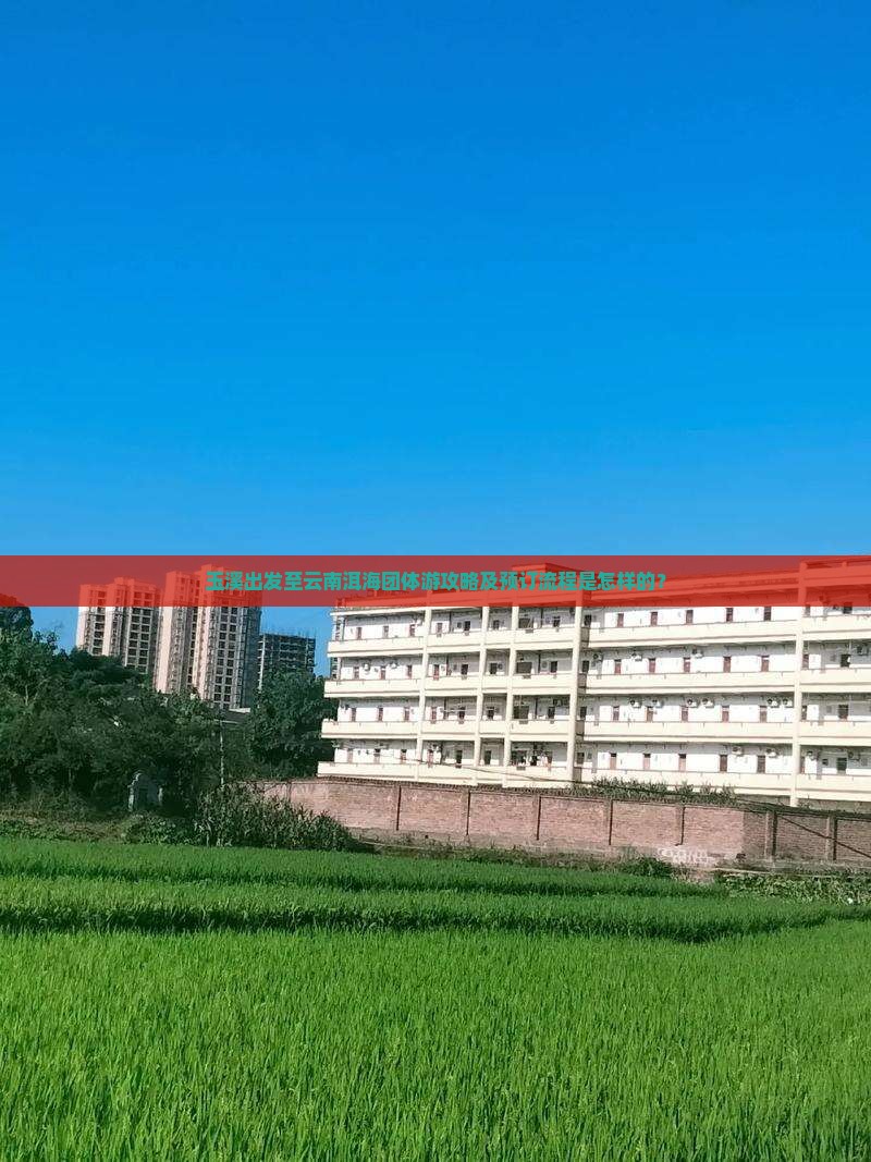 玉溪出发至云南洱海团体游攻略及预订流程是怎样的？