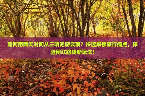 如何用两天时间从三明畅游云南？快速解锁旅行痛点，体验网红路线新玩法！