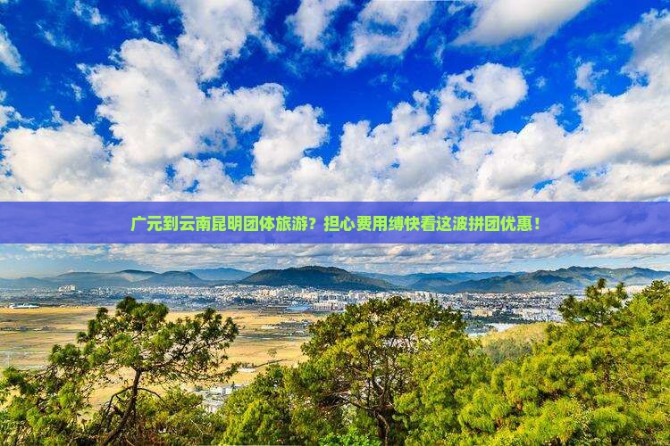 广元到云南昆明团体旅游？担心费用缚快看这波拼团优惠！