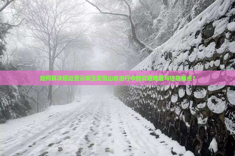 如何解决延边至云南玉龙雪山自由行中的交通难题与住宿痛点？