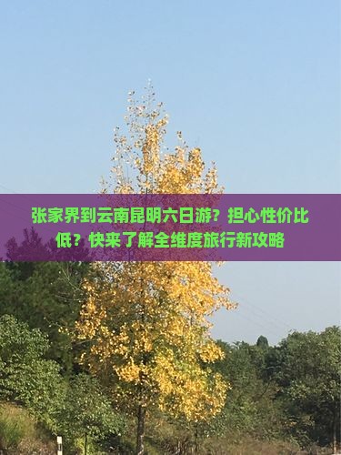 张家界到云南昆明六日游？担心性价比低？快来了解全维度旅行新攻略