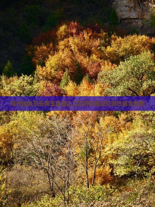 亳州出发至云南玉龙雪山二日游攻略及交通住宿全指南