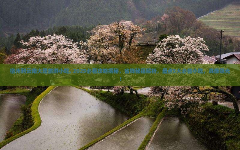 宿州到云南大理旅游小吃