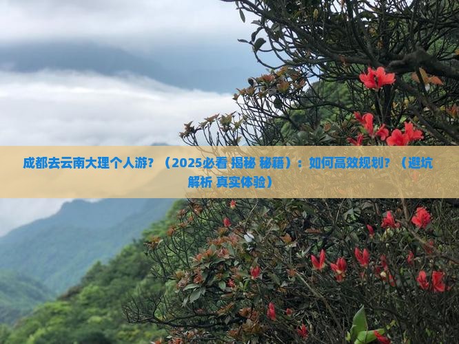 成都去云南大理个人游