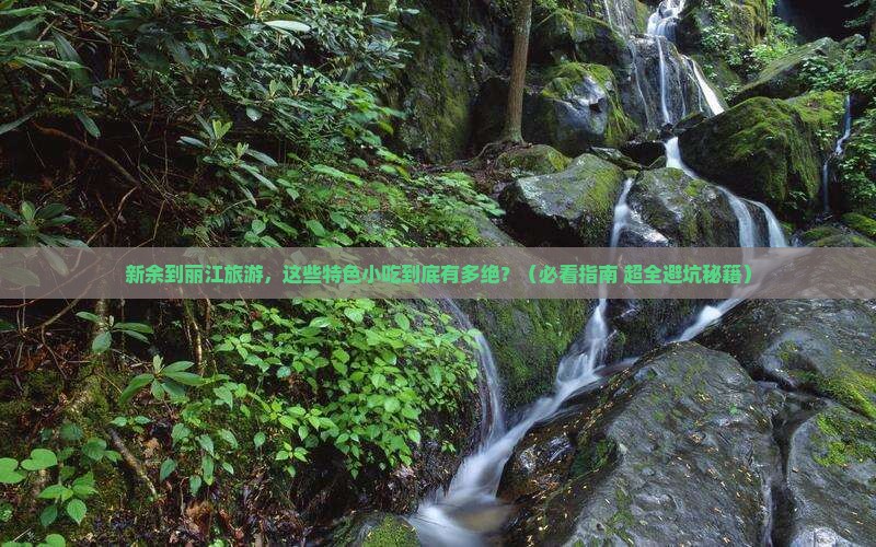 新余到云南丽江旅游小吃