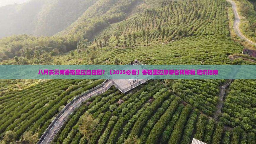 八月去云南香格里拉自由团