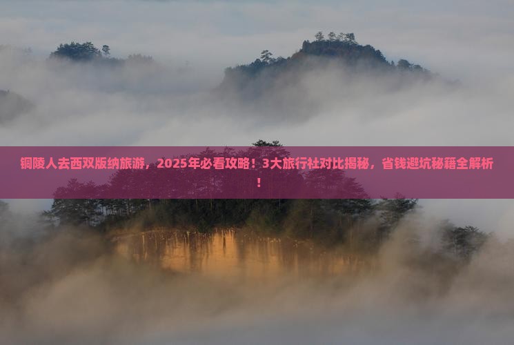 铜陵到云南西双版纳旅行社