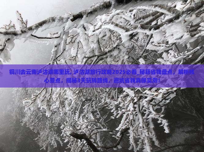 铜川去云南泸沽湖哪里玩