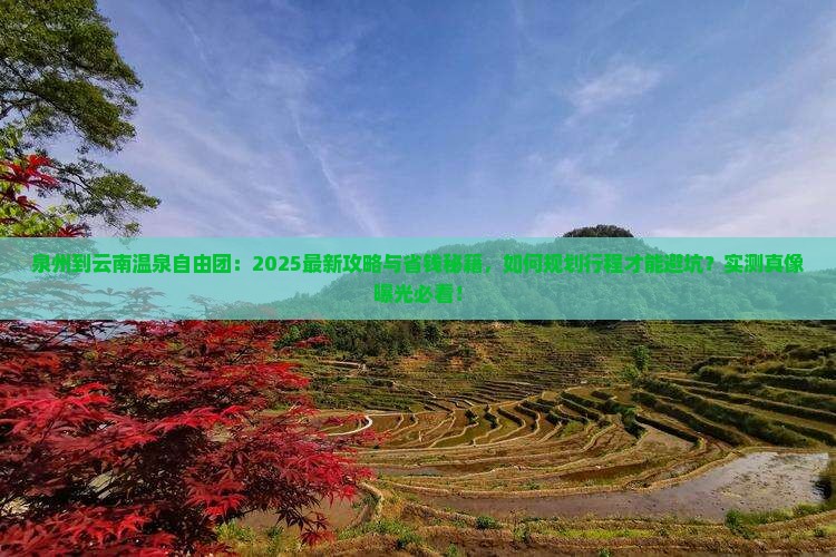泉州到云南温泉自由团
