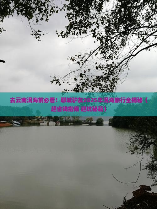 聊城去云南洱海旅游