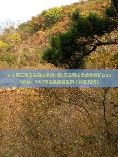 文山到云南玉龙雪山旅游小吃