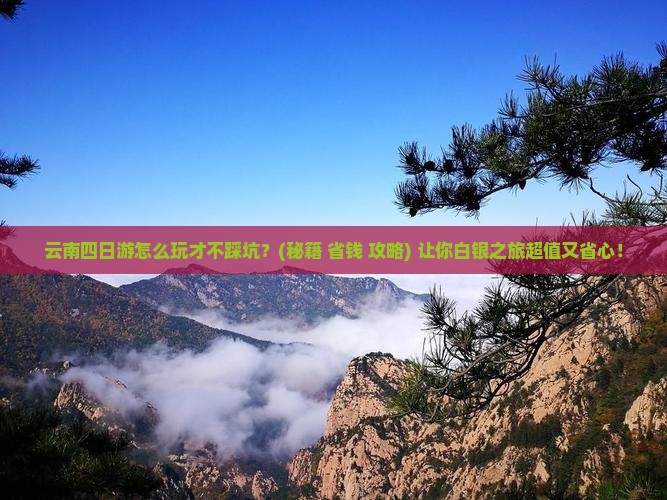 白银去云南四日游