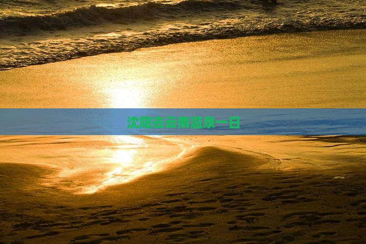 沈阳去云南温泉一日