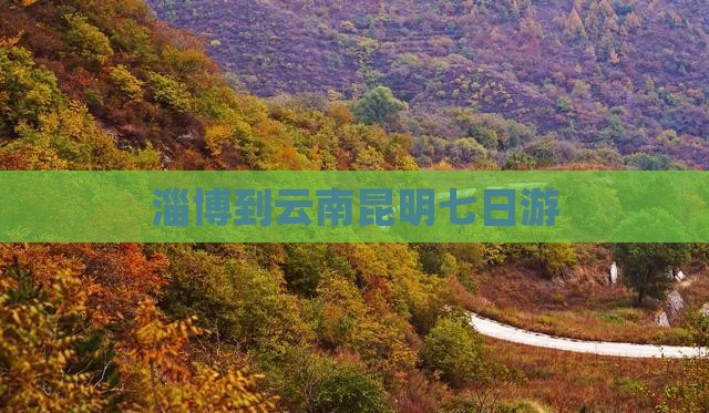 淄博到云南昆明七日游