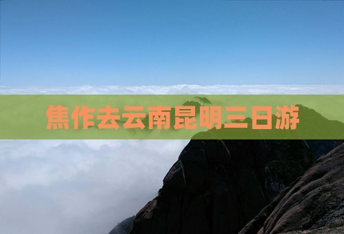 焦作去云南昆明三日游