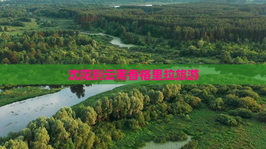 沈阳到云南香格里拉旅游