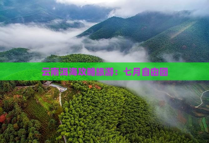 七月去云南洱海自由团
