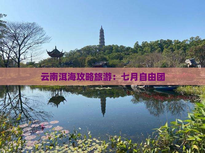 七月去云南洱海自由团