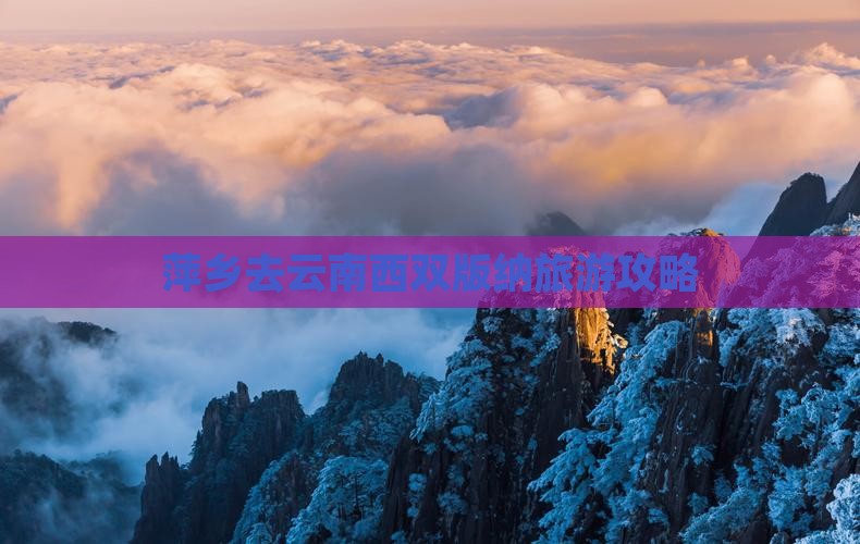 萍乡去云南西双版纳哪里玩