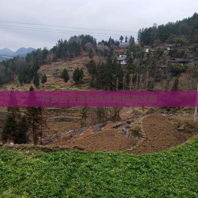 萍乡去云南西双版纳哪里玩