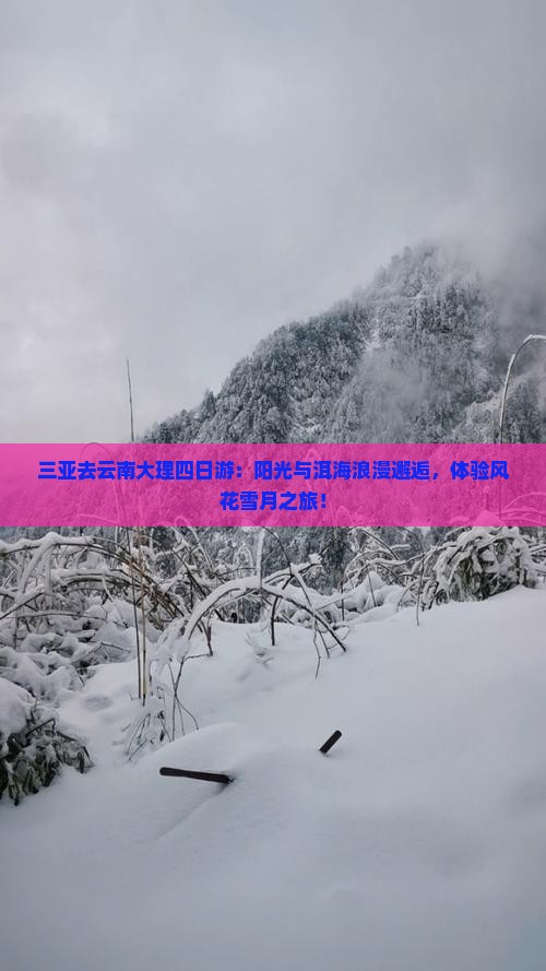 三亚去云南大理四日游