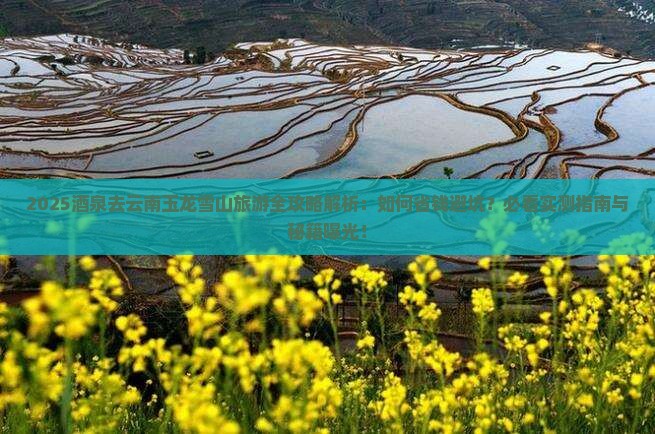 酒泉去云南玉龙雪山旅游